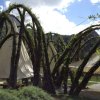 Mariazell_Weng_Admont_Ennstal_065